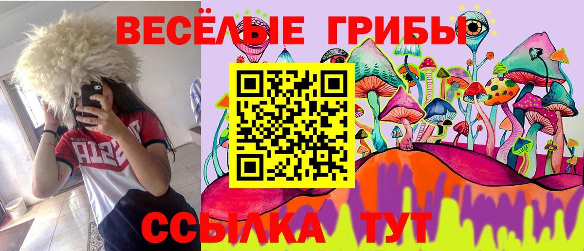 Псилоцибиновые грибы MAGIC MUSHROOMS Кемерово