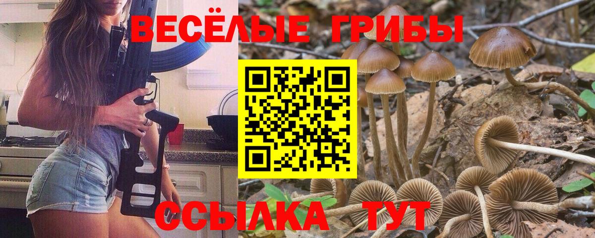 Псилоцибиновые грибы ЛСД  Вход с VPN  купить закладку  Кемерово 