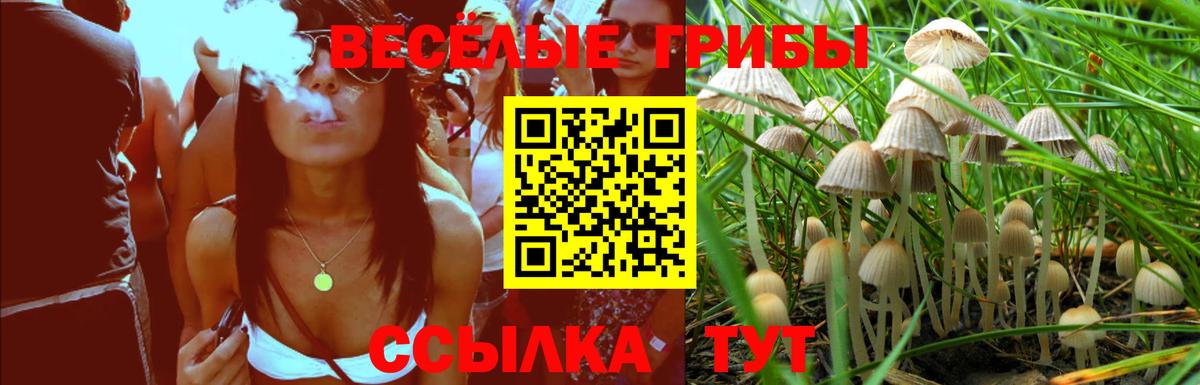 Галлюциногенные грибы Cubensis Кемерово